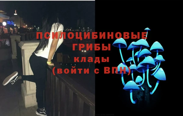 эйфоретик Алексеевка