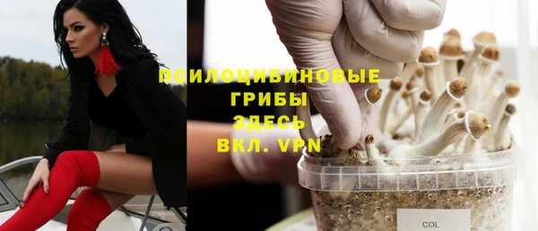 эйфоретик Алексеевка