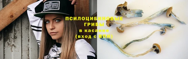 шишки Алзамай