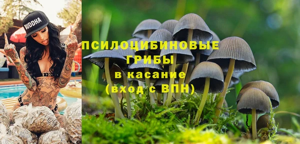 эйфоретик Алексеевка
