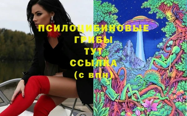 эйфоретик Алексеевка