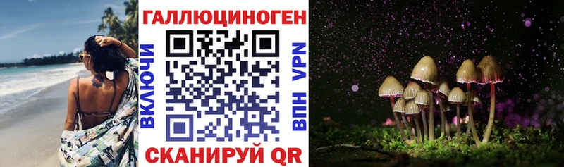 Галлюциногенные грибы Cubensis Омск
