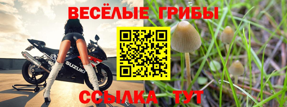 Галлюциногенные грибы Magic Shrooms  Вход с VPN  Галлюциногенные грибы ЛСД  Омск 