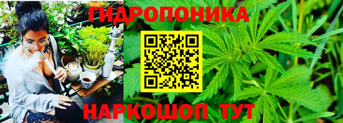 Шишки марихуана сатива  Шишки марихуана Amnesia  Каннабис план  Конопля тримм  Вход с VPN  Омск 